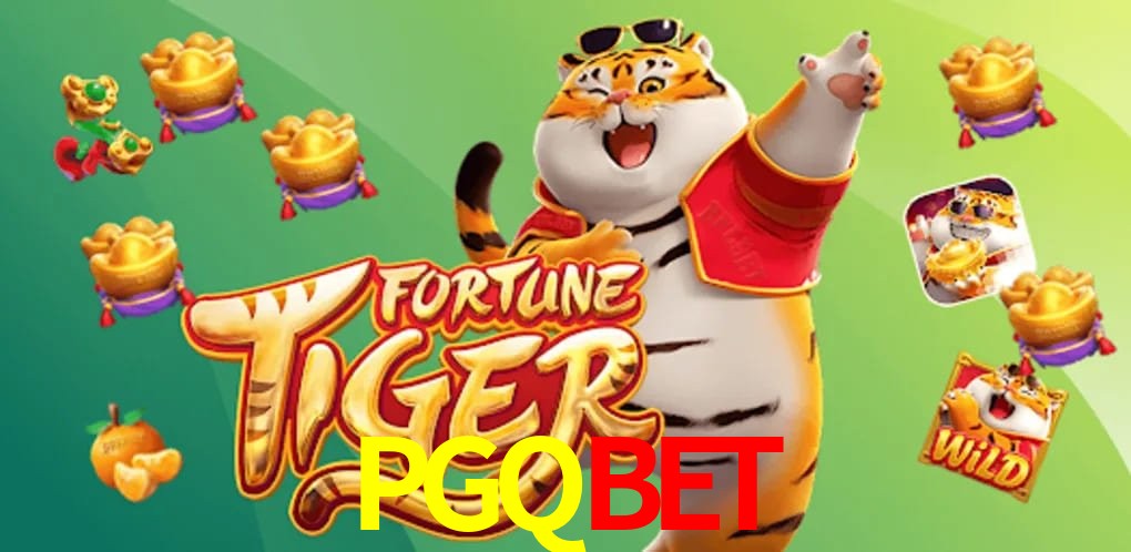 Experiência VIP PGQBET